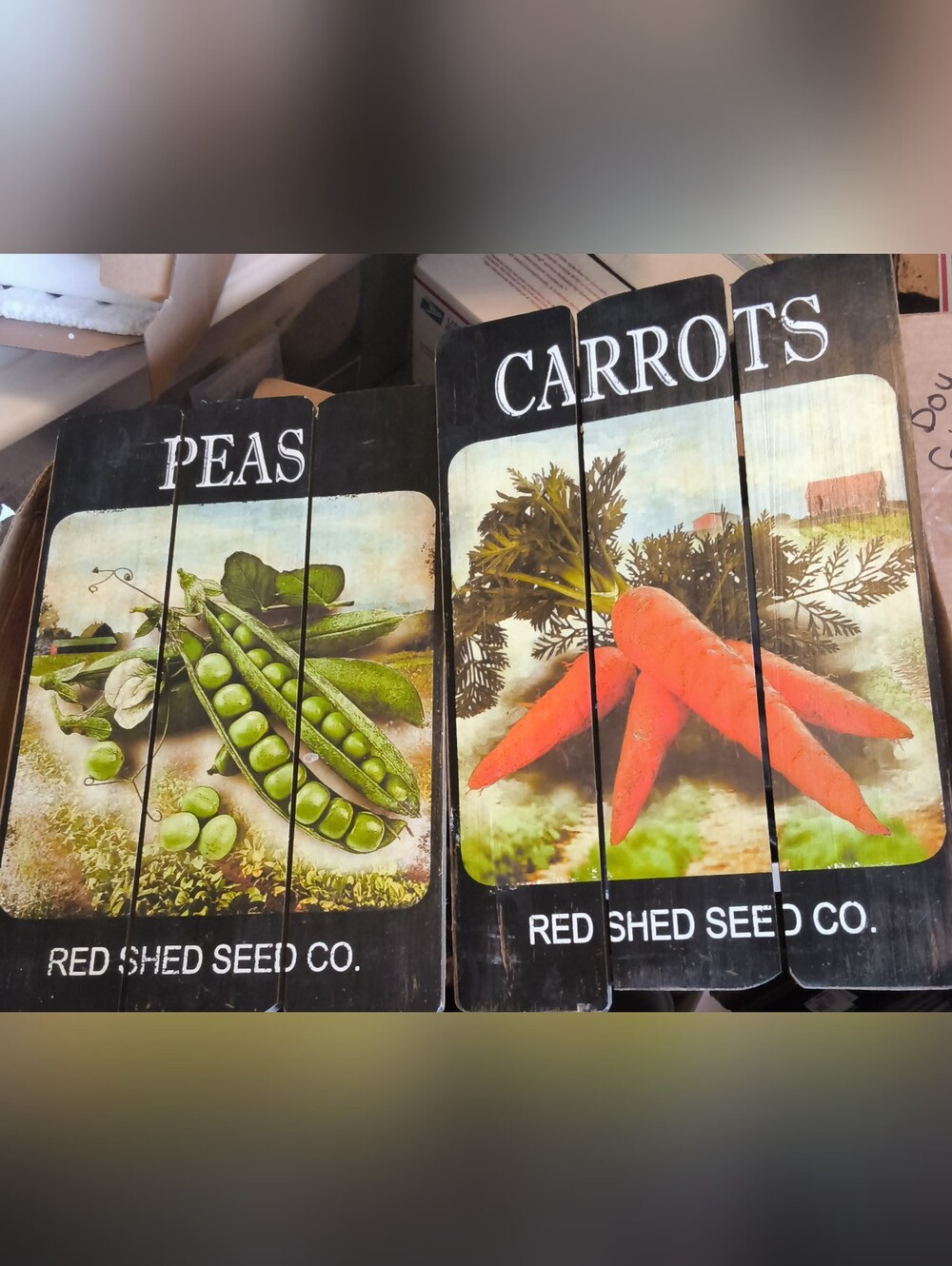 Peas & Carrots Decorative Wood Plaque - Green & Orange